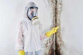 Best Attic Mold Removal  in Angleton, TX